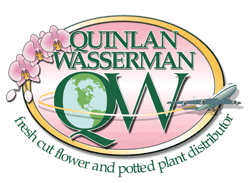 Quinlan-Wasserman
